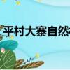 平村大寨自然村（關于平村大寨自然村介紹）