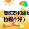 曼陀羅和潘多拉誰的手感更好（曼陀羅和潘多拉哪個好）