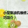 小型柴油機維修入門與技巧（關于小型柴油機維修入門與技巧簡介）