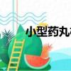 小型藥丸機（關于小型藥丸機簡介）