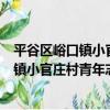 平谷區峪口鎮小官莊村青年志愿者服務隊（關于平谷區峪口鎮小官莊村青年志愿者服務隊介紹）