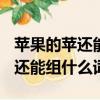 蘋果的蘋還能組什么詞? 百度網盤（蘋果的蘋還能組什么詞）
