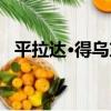平拉達·得烏東（關于平拉達·得烏東介紹）