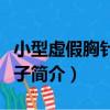 小型虛假胸針球接子（關于小型虛假胸針球接子簡介）
