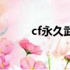 cf永久武器價格表（cf永久武器）