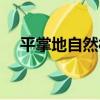 平掌地自然村（關于平掌地自然村介紹）