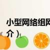 小型網絡組網技術（關于小型網絡組網技術簡介）