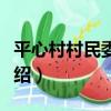 平心村村民委員會（關于平心村村民委員會介紹）