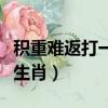 積重難返打一生肖黃黃河水清（積重難返打一生肖）