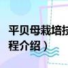 平貝母栽培技術規程（關于平貝母栽培技術規程介紹）