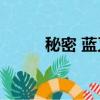 秘密 藍又時mp3（秘密 藍又時）