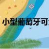 小型葡萄牙可犬（關于小型葡萄牙可犬簡介）