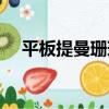 平板提曼珊瑚（關于平板提曼珊瑚介紹）