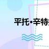 平托·辛特拉（關于平托·辛特拉介紹）