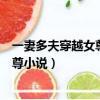 一妻多夫穿越女尊小說多夫的世界傷不起（一妻多夫穿越女尊小說）