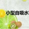 小型自吸水泵（關于小型自吸水泵簡介）