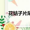 花姑子片尾曲叫什么（花姑子片尾曲）