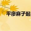 平廖麻子起義（關于平廖麻子起義介紹）