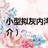 小型擬灰內溝珊瑚（關于小型擬灰內溝珊瑚簡介）