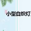 小型白熾燈泡（關于小型白熾燈泡簡介）