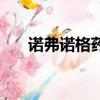 諾弗諾格藥劑（諾格弗格藥劑在哪買）