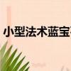 小型法術藍寶石（關于小型法術藍寶石簡介）