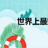 世界上最矮的小矮人（世界最矮人）