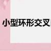小型環形交叉口（關于小型環形交叉口簡介）