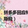 拼多多回應特斯拉團購事件 1（拼多多回應特斯拉）