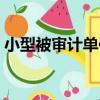 小型被審計單位（關于小型被審計單位簡介）