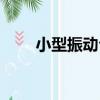 小型振動臺（關于小型振動臺簡介）