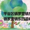 平谷區鎮羅營鎮東四道嶺村青年志愿者服務隊（關于平谷區鎮羅營鎮東四道嶺村青年志愿者服務隊介紹）