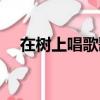 在樹上唱歌歌詞含義（在樹上唱歌歌詞）