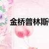 金橋普林斯頓物業電話（金橋普林斯頓）