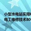 小型水電站實用電工維修技術800問（關于小型水電站實用電工維修技術800問簡介）