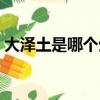 大澤土是哪個生肖（大澤土是代表什么生肖）