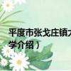 平度市張戈莊鎮大水泊小學（關于平度市張戈莊鎮大水泊小學介紹）