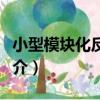 小型模塊化反應堆（關于小型模塊化反應堆簡介）