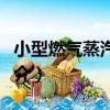 小型燃氣蒸汽鍋爐（關于小型燃氣蒸汽鍋爐簡介）