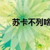 蘇卡不列啥意思?（蘇卡不列什么意思）