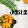 小型計量泵（關于小型計量泵簡介）