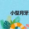 小型月牙藻（關于小型月牙藻簡介）