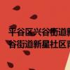 平谷區興谷街道新星社區青年志愿者服務隊（關于平谷區興谷街道新星社區青年志愿者服務隊介紹）