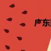廣東網通胡為（廣東網通）
