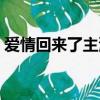愛情回來了主演名單表（愛情回來了演員表）