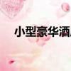 小型豪華酒店（關于小型豪華酒店簡介）