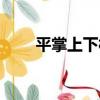 平掌上下村（關于平掌上下村介紹）