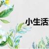 小生活演員表（大生活演員表）
