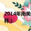 2014年南美超級德比杯（2014南美超級德比杯）