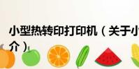 小型熱轉印打印機(關于小型熱轉印打印機簡介)
